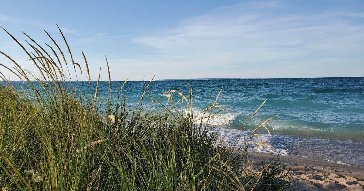 Oceana County, Michigan Marijuana Real Estate For Sale